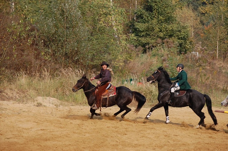 Zdjęcie w galerii na portalu naszwodzislaw.com: Hubertus u Kaczyny w Rogowie wiadomości z regionu