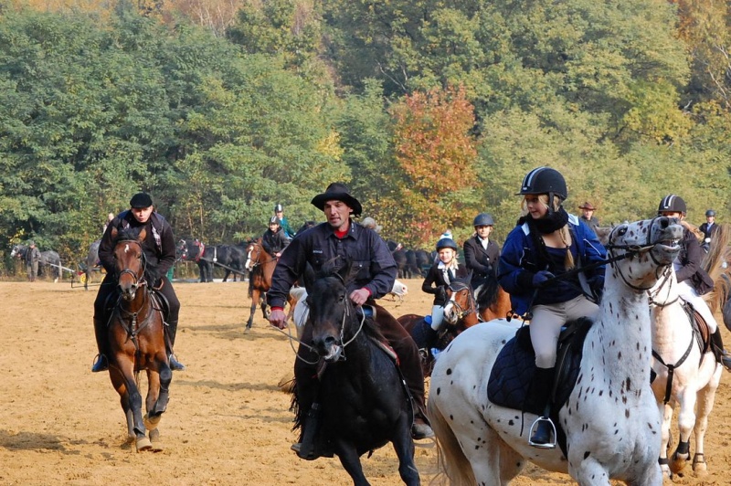 Zdjęcie w galerii na portalu naszwodzislaw.com: Hubertus u Kaczyny w Rogowie wiadomości z regionu