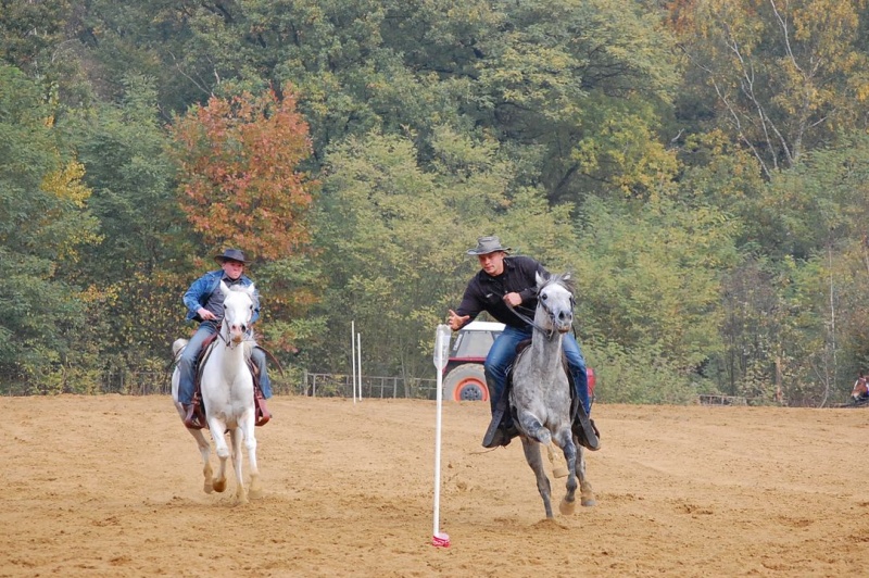 Zdjęcie w galerii na portalu naszwodzislaw.com: Hubertus u Kaczyny w Rogowie wiadomości z regionu