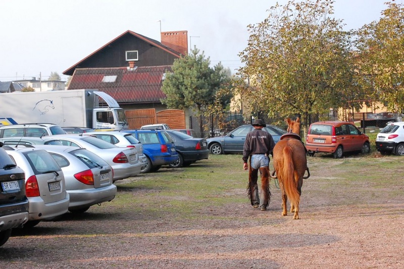 Zdjęcie w galerii na portalu naszwodzislaw.com: Hubertus u Kaczyny w Rogowie wiadomości z regionu