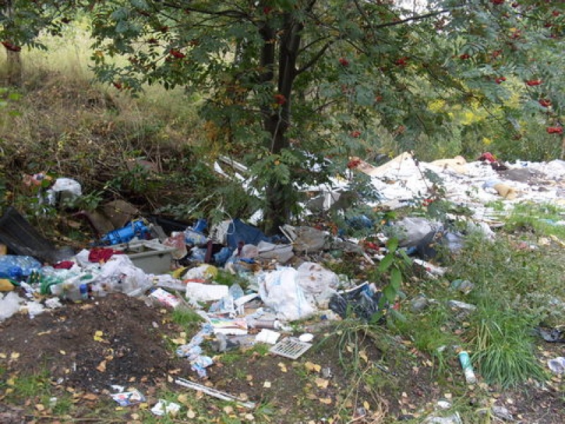 Zdjęcie w galerii na portalu naszwodzislaw.com: Posprzątał na własny koszt wiadomości z regionu