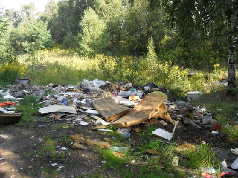 Zdjęcie w galerii na portalu naszwodzislaw.com: Posprzątał na własny koszt wiadomości z regionu