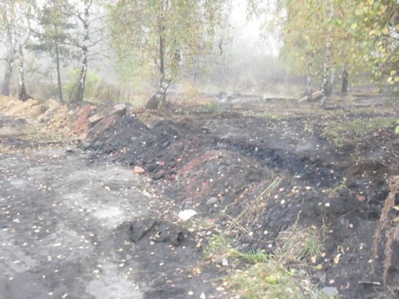 Zdjęcie w galerii na portalu naszwodzislaw.com: Posprzątał na własny koszt wiadomości z regionu