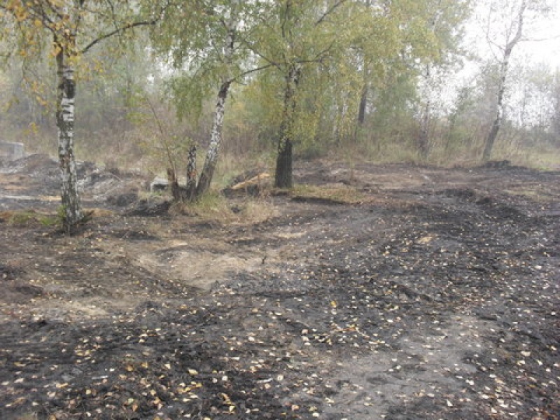 Zdjęcie w galerii na portalu naszwodzislaw.com: Posprzątał na własny koszt wiadomości z regionu