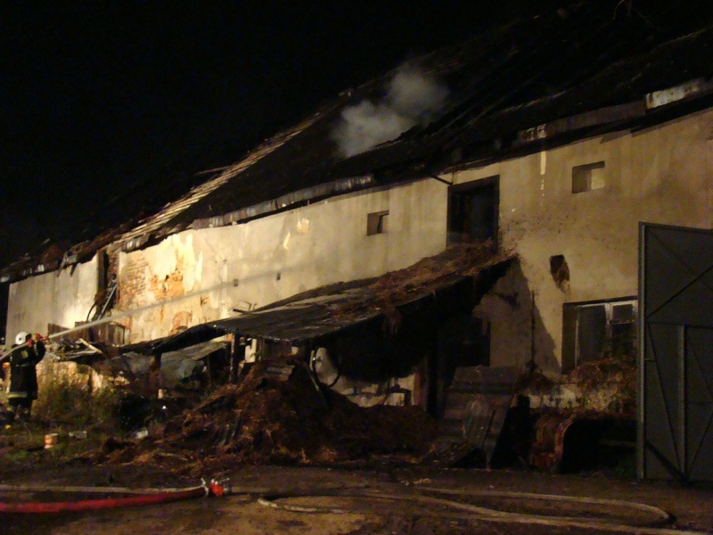 Zdjęcie w galerii na portalu naszwodzislaw.com: Wielki pożar w Krzyżkowicach wiadomości z regionu