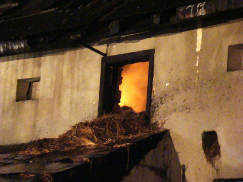 Zdjęcie w galerii na portalu naszwodzislaw.com: Wielki pożar w Krzyżkowicach wiadomości z regionu