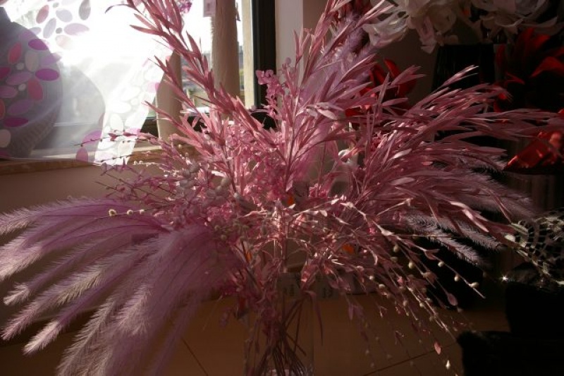 Zdjęcie w galerii na portalu naszwodzislaw.com: Aby wnętrze nabrało stylu wiadomości z regionu