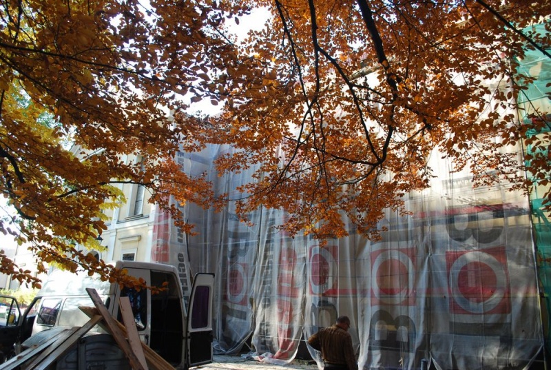 Zdjęcie w galerii na portalu naszwodzislaw.com: Na dachu nie rosną już drzewa wiadomości z regionu