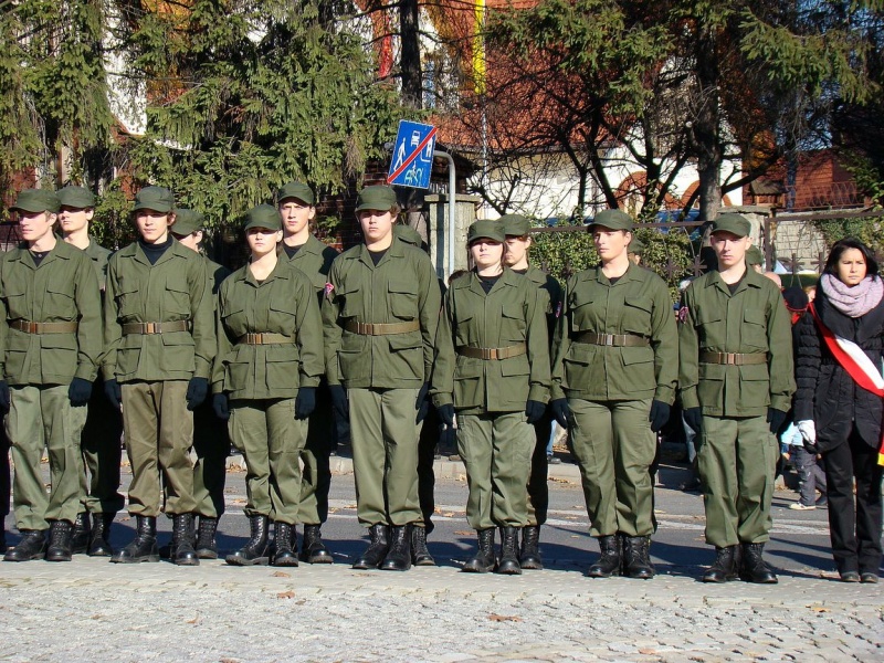 Zdjęcie w galerii na portalu naszwodzislaw.com: Niepodległość przez wszystkie przypadki wiadomości z regionu