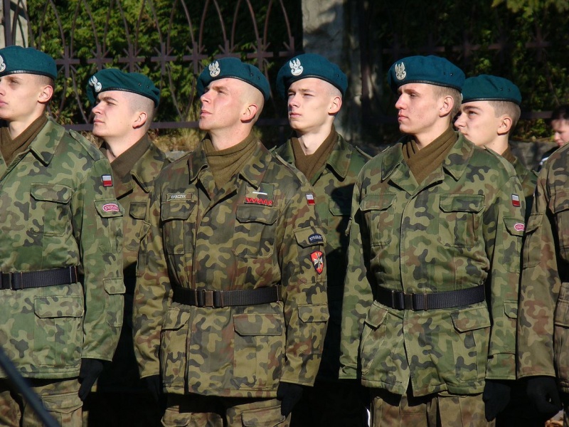 Zdjęcie w galerii na portalu naszwodzislaw.com: Niepodległość przez wszystkie przypadki wiadomości z regionu