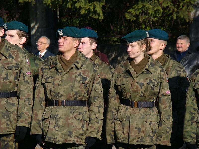 Zdjęcie w galerii na portalu naszwodzislaw.com: Niepodległość przez wszystkie przypadki wiadomości z regionu