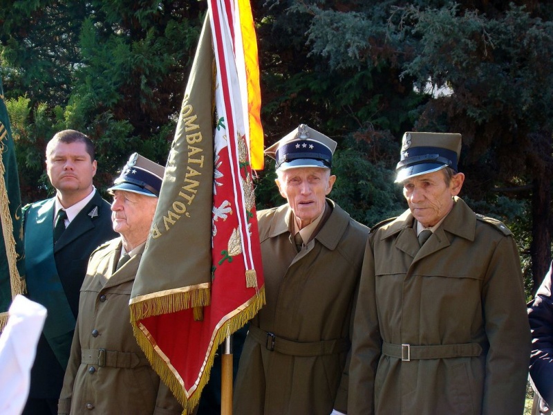 Zdjęcie w galerii na portalu naszwodzislaw.com: Pszów obchodzi Święto Niepodległości wiadomości z regionu