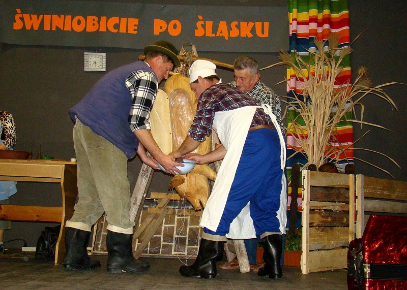 Zdjęcie w galerii na portalu naszwodzislaw.com: ŚWINIOBICIE w Turzy Śląskiej wiadomości z regionu