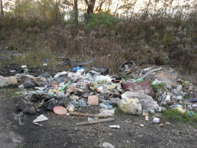 Zdjęcie w galerii na portalu naszwodzislaw.com: Najpierw naśmiecił, później posprzątał wiadomości z regionu