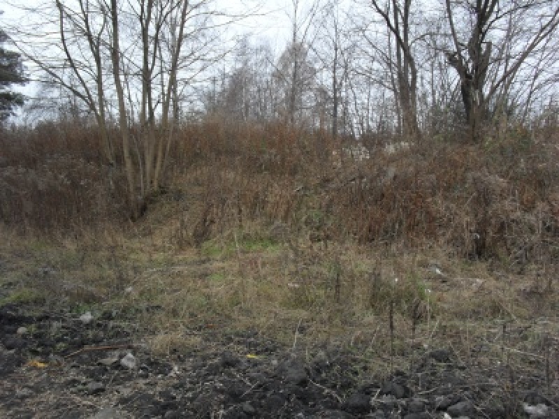 Zdjęcie w galerii na portalu naszwodzislaw.com: Najpierw naśmiecił, później posprzątał wiadomości z regionu