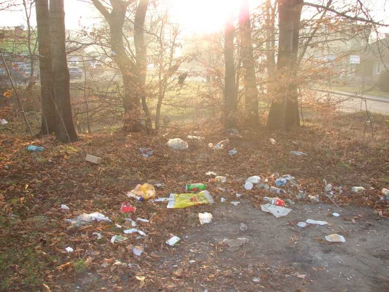 Zdjęcie w galerii na portalu naszwodzislaw.com: Miejsce schadzek uprzątnięte wiadomości z regionu