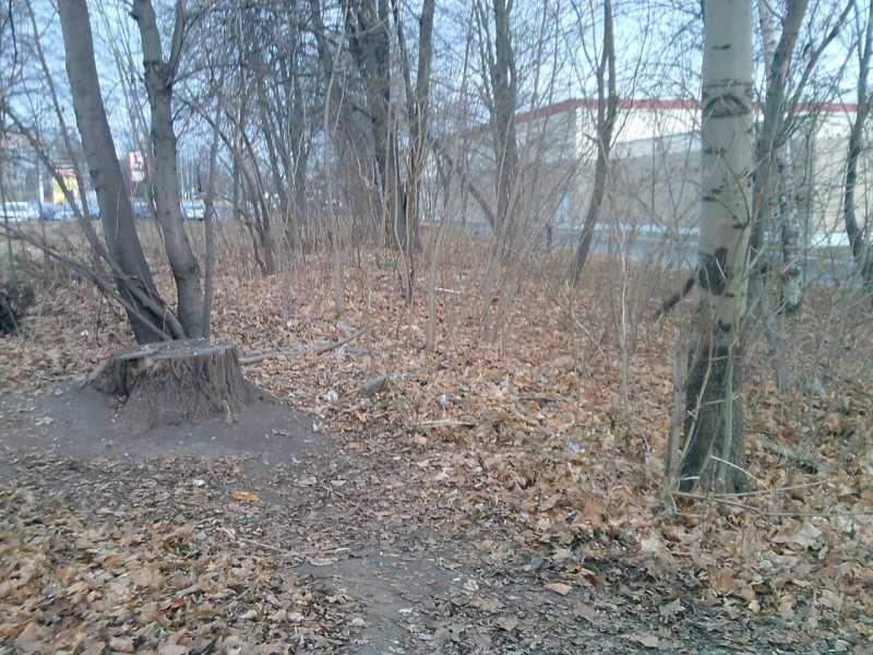 Zdjęcie w galerii na portalu naszwodzislaw.com: Miejsce schadzek uprzątnięte wiadomości z regionu