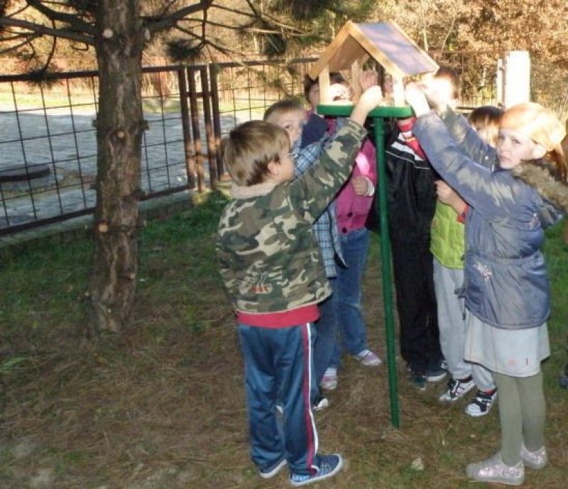 Zdjęcie w galerii na portalu naszwodzislaw.com: Podaj łapę, czyli krok w wolontariat wiadomości z regionu