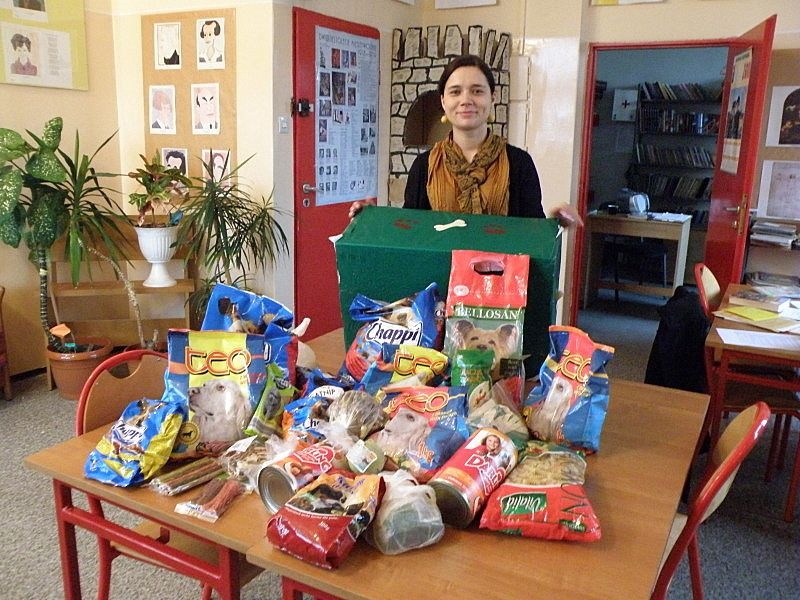 Zdjęcie w galerii na portalu naszwodzislaw.com: Podaj łapę, czyli krok w wolontariat wiadomości z regionu