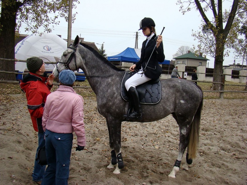 Zdjęcie w galerii na portalu naszwodzislaw.com: Tradycyjna pogoń za lisem w Kokoszycach wiadomości z regionu