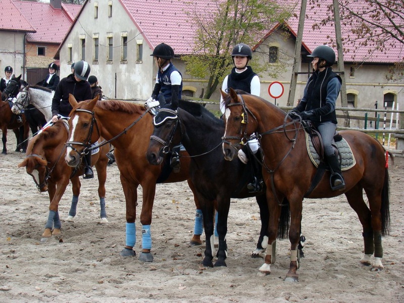 Zdjęcie w galerii na portalu naszwodzislaw.com: Tradycyjna pogoń za lisem w Kokoszycach wiadomości z regionu