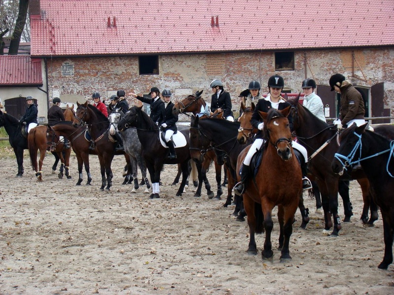 Zdjęcie w galerii na portalu naszwodzislaw.com: Tradycyjna pogoń za lisem w Kokoszycach wiadomości z regionu