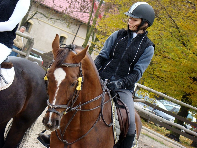 Zdjęcie w galerii na portalu naszwodzislaw.com: Tradycyjna pogoń za lisem w Kokoszycach wiadomości z regionu
