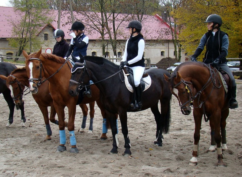 Zdjęcie w galerii na portalu naszwodzislaw.com: Tradycyjna pogoń za lisem w Kokoszycach wiadomości z regionu