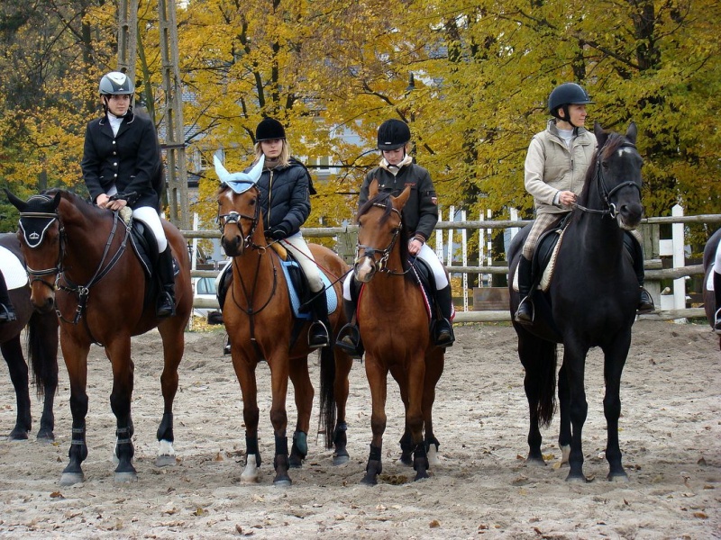 Zdjęcie w galerii na portalu naszwodzislaw.com: Tradycyjna pogoń za lisem w Kokoszycach wiadomości z regionu