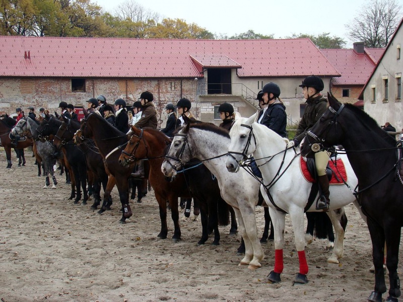 Zdjęcie w galerii na portalu naszwodzislaw.com: Tradycyjna pogoń za lisem w Kokoszycach wiadomości z regionu