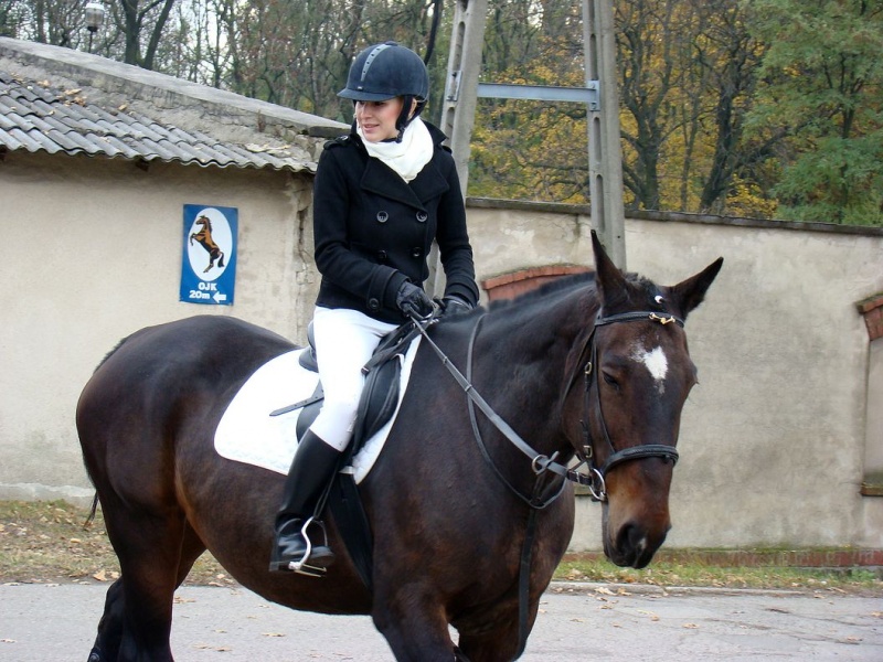 Zdjęcie w galerii na portalu naszwodzislaw.com: Tradycyjna pogoń za lisem w Kokoszycach wiadomości z regionu