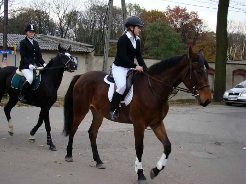 Zdjęcie w galerii na portalu naszwodzislaw.com: Tradycyjna pogoń za lisem w Kokoszycach wiadomości z regionu
