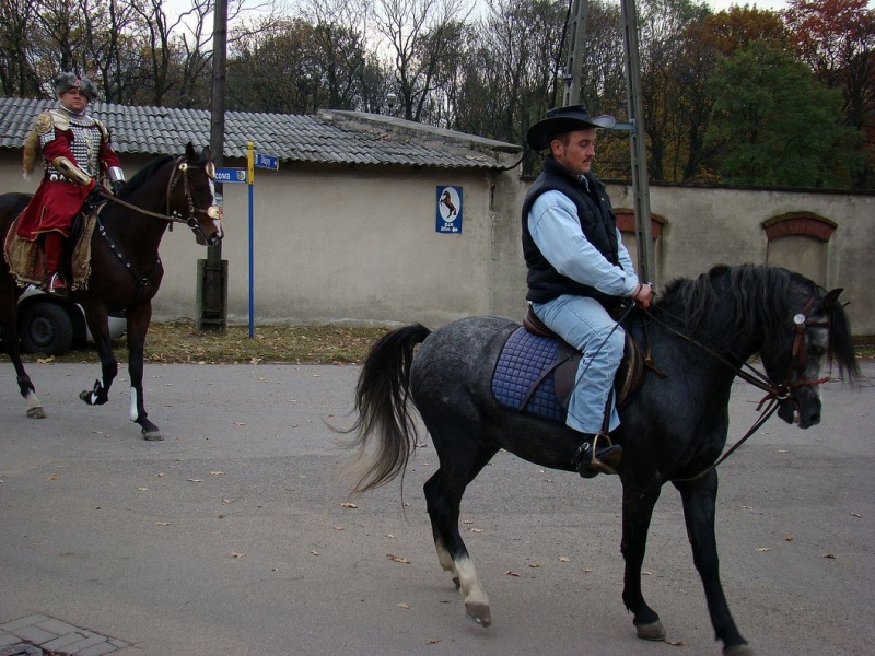 Zdjęcie w galerii na portalu naszwodzislaw.com: Tradycyjna pogoń za lisem w Kokoszycach wiadomości z regionu