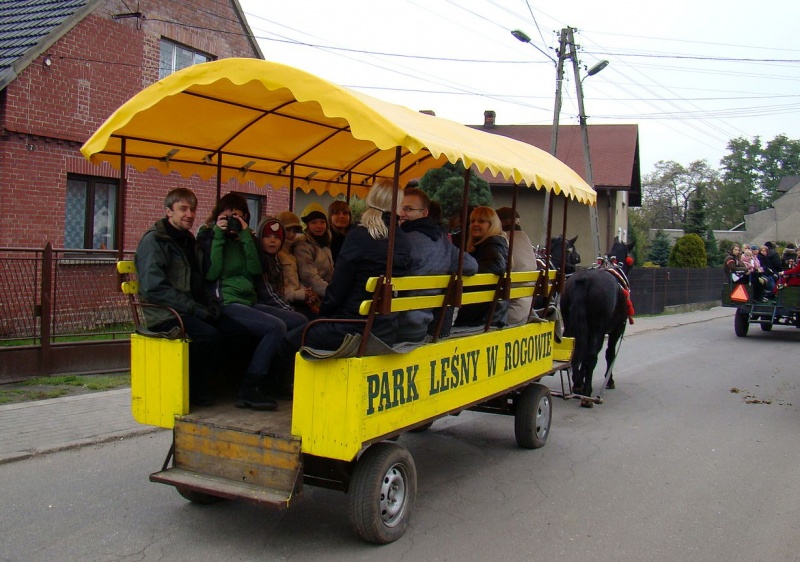Zdjęcie w galerii na portalu naszwodzislaw.com: Tradycyjna pogoń za lisem w Kokoszycach wiadomości z regionu