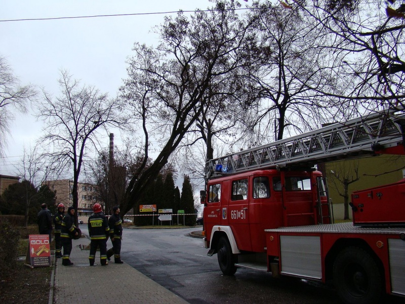 Zdjęcie w galerii na portalu naszwodzislaw.com: Na Wilchwach usuwali skutki wichury wiadomości z regionu