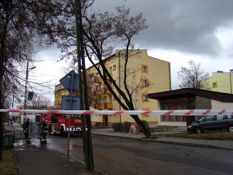 Zdjęcie w galerii na portalu naszwodzislaw.com: Na Wilchwach usuwali skutki wichury wiadomości z regionu