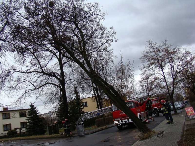 Zdjęcie w galerii na portalu naszwodzislaw.com: Na Wilchwach usuwali skutki wichury wiadomości z regionu