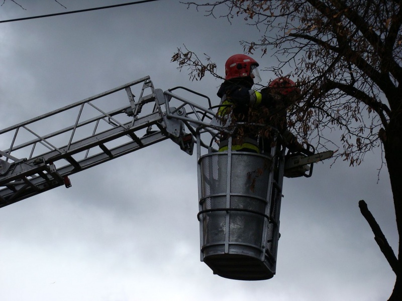 Zdjęcie w galerii na portalu naszwodzislaw.com: Na Wilchwach usuwali skutki wichury wiadomości z regionu
