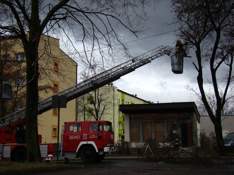 Zdjęcie w galerii na portalu naszwodzislaw.com: Na Wilchwach usuwali skutki wichury wiadomości z regionu