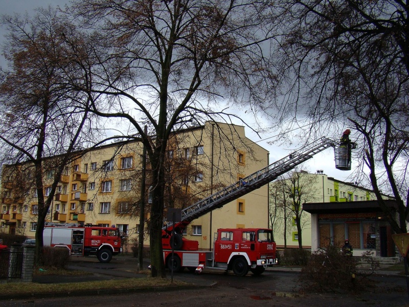 Zdjęcie w galerii na portalu naszwodzislaw.com: Na Wilchwach usuwali skutki wichury wiadomości z regionu