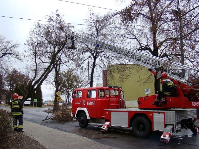 Zdjęcie w galerii na portalu naszwodzislaw.com: Na Wilchwach usuwali skutki wichury wiadomości z regionu