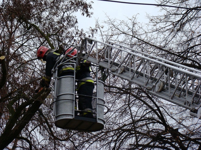 Zdjęcie w galerii na portalu naszwodzislaw.com: Na Wilchwach usuwali skutki wichury wiadomości z regionu