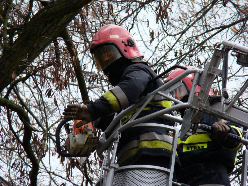 Zdjęcie w galerii na portalu naszwodzislaw.com: Na Wilchwach usuwali skutki wichury wiadomości z regionu