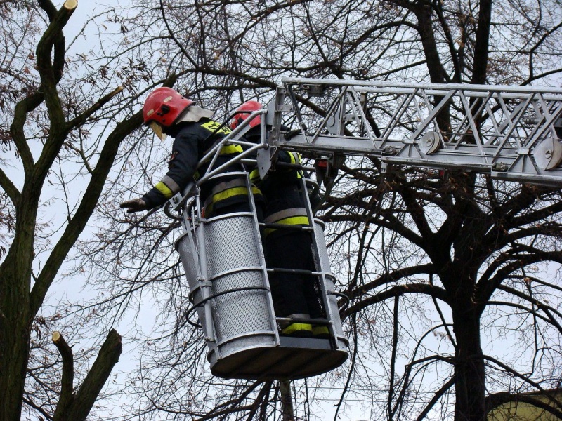 Zdjęcie w galerii na portalu naszwodzislaw.com: Na Wilchwach usuwali skutki wichury wiadomości z regionu