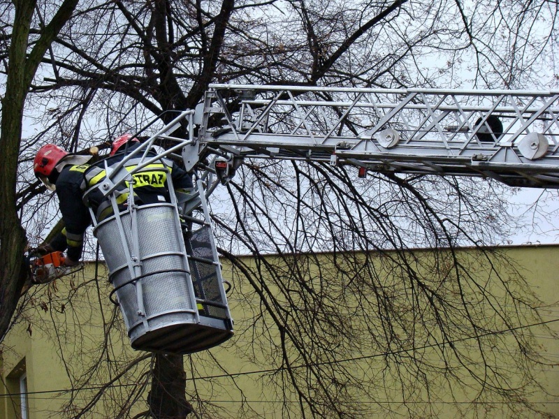 Zdjęcie w galerii na portalu naszwodzislaw.com: Na Wilchwach usuwali skutki wichury wiadomości z regionu