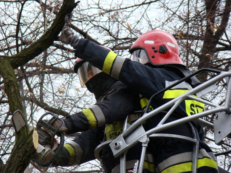 Zdjęcie w galerii na portalu naszwodzislaw.com: Na Wilchwach usuwali skutki wichury wiadomości z regionu