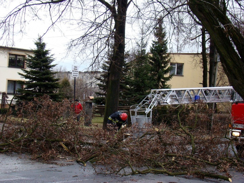 Zdjęcie w galerii na portalu naszwodzislaw.com: Na Wilchwach usuwali skutki wichury wiadomości z regionu