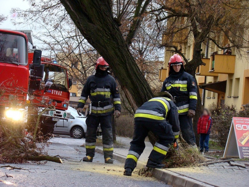Zdjęcie w galerii na portalu naszwodzislaw.com: Na Wilchwach usuwali skutki wichury wiadomości z regionu