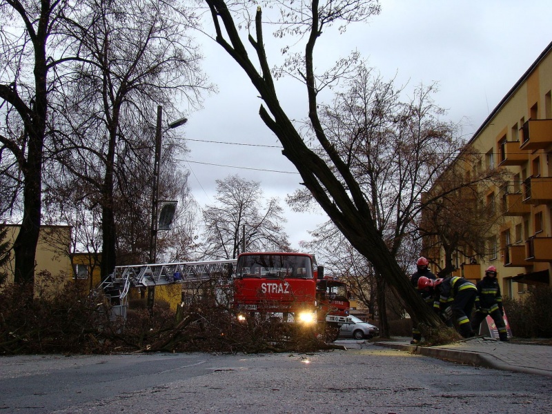 Zdjęcie w galerii na portalu naszwodzislaw.com: Na Wilchwach usuwali skutki wichury wiadomości z regionu