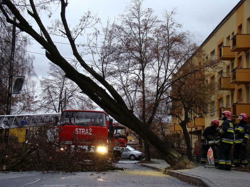 Zdjęcie w galerii na portalu naszwodzislaw.com: Na Wilchwach usuwali skutki wichury wiadomości z regionu
